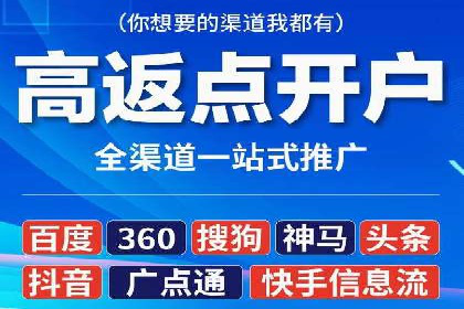 解析某某SEM服务公司的广告投放策略与效果评估